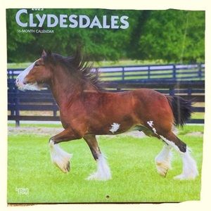 Calendar “Clydesdales” Sixteen Months Brand New Gorgeous Photography